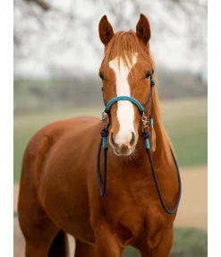 Hot Licol à noeuds Lino Licols À Noeuds