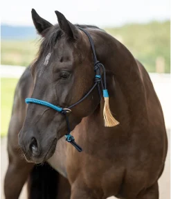 Hot Licol à noeuds Lino Licols À Noeuds