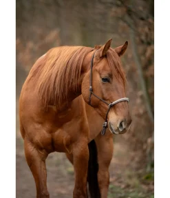 Outlet Licol à noeuds Lino Licols À Noeuds