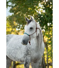 New Licol à noeuds Nic Licols À Noeuds