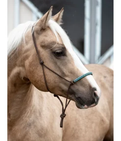 New Licol à noeuds Nic Licols À Noeuds