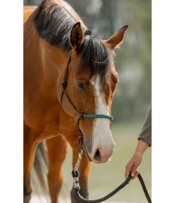 New Licol à noeuds Nic Licols À Noeuds