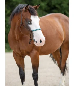 New Licol à noeuds Nic Licols À Noeuds