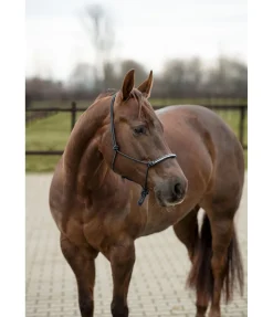 Best Licol à noeuds Nic Licols À Noeuds