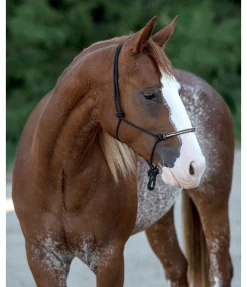 Hot Licol à noeuds Nic Licols À Noeuds