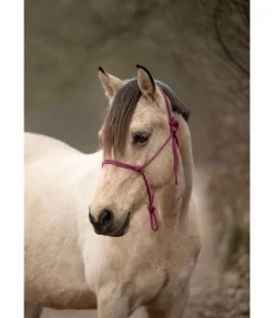 Outlet Licol à noeuds Quality Licols À Noeuds