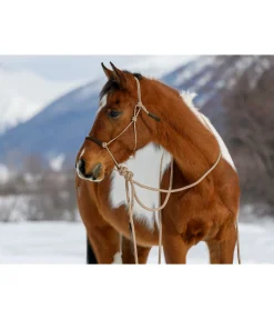 Outlet Licol à noeuds avec rênes Mecate Merano Licols À Noeuds