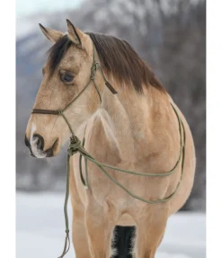 Hot Licol à noeuds avec rênes Mecate Merano Licols À Noeuds