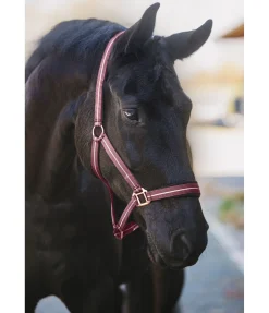 New Licol Shimmering Licols Pour Poneys & Poulains|Licols Synthétiques