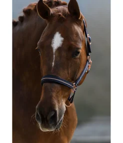 Hot Licol Shimmering Licols Pour Poneys & Poulains|Licols Synthétiques