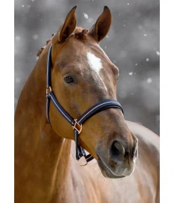 Hot Licol Shimmering Licols Pour Poneys & Poulains|Licols Synthétiques