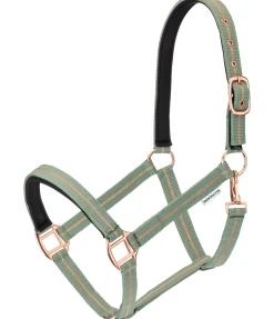 Outlet Licol Shimmering Licols Pour Poneys & Poulains|Licols Synthétiques