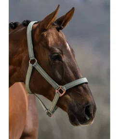 Outlet Licol Shimmering Licols Pour Poneys & Poulains|Licols Synthétiques