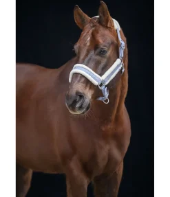 Licol Shine Licols Pour Poneys & Poulains|Licols Synthétiques