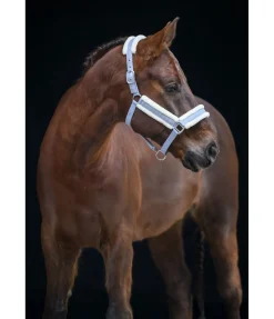 Licol Shine Licols Pour Poneys & Poulains|Licols Synthétiques