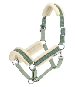 Best Licol Shine Licols Pour Poneys & Poulains|Licols Synthétiques