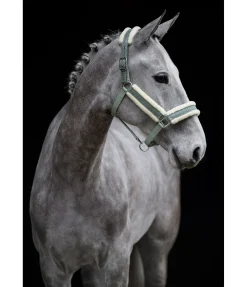 Best Licol Shine Licols Pour Poneys & Poulains|Licols Synthétiques