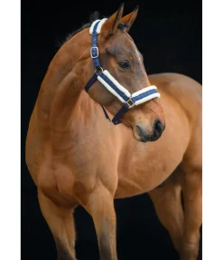 Licol Shine Licols Pour Poneys & Poulains|Licols Synthétiques