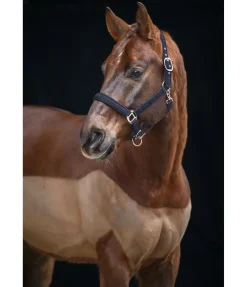 Clearance Licol Signature II Licols Synthétiques