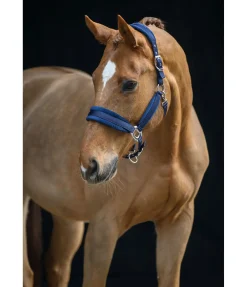 Outlet Licol Soft Velvet Licols Synthétiques