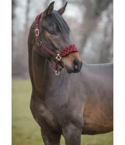 Online Licol Softy Licols Synthétiques|Licols Pour Poneys & Poulains