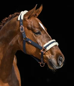 Discount Licol Sparkling II Fourrure D'Agneau|Licols Pour Poneys & Poulains