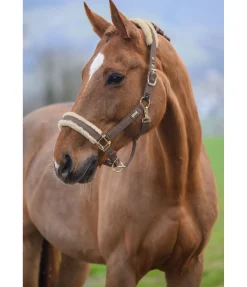 Discount Licol Sparkling II Fourrure D'Agneau|Licols Pour Poneys & Poulains