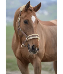 Discount Licol Sparkling II Fourrure D'Agneau|Licols Pour Poneys & Poulains