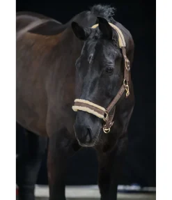 Discount Licol Sparkling II Fourrure D'Agneau|Licols Pour Poneys & Poulains