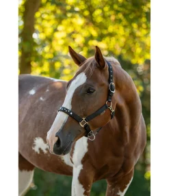 New Licol Stella Licols Synthétiques