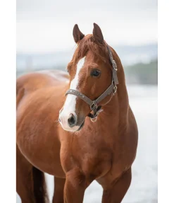 Discount Licol Stella Licols Synthétiques