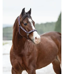 Discount Licol Stone Licols Synthétiques