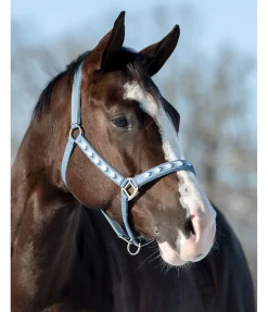 Licol Stone Licols Synthétiques