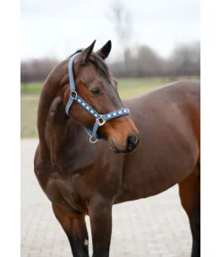 Licol Stone Licols Synthétiques