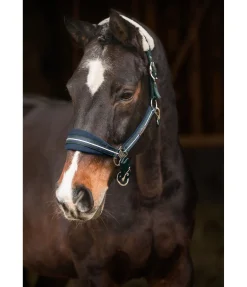 New Licol Swiss Design Fourrure D'Agneau|Licols Pour Poneys & Poulains