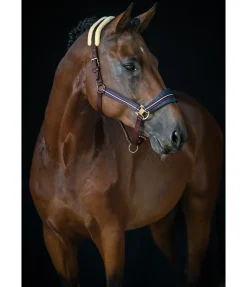 New Licol Swiss Design Fourrure D'Agneau|Licols Pour Poneys & Poulains