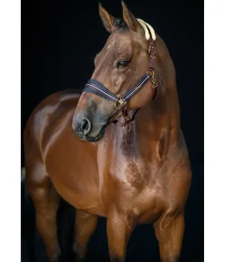 New Licol Swiss Design Fourrure D'Agneau|Licols Pour Poneys & Poulains