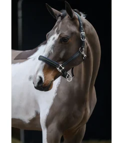 Discount Licol Swiss Design II Licols Synthétiques