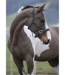 Discount Licol Swiss Design II Licols Synthétiques