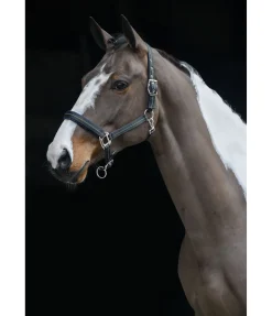 Discount Licol Swiss Design II Licols Synthétiques