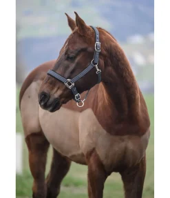 Online Licol Swiss Design II Licols Synthétiques