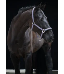 Online Licol Swiss Design II Licols Synthétiques