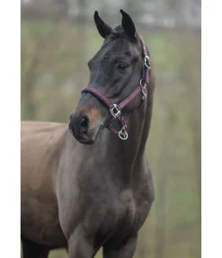 Licol Swiss Design II Licols Synthétiques