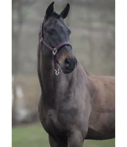 Licol Swiss Design II Licols Synthétiques