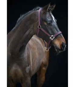 Licol Swiss Design II Licols Synthétiques