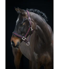 Licol Swiss Design II Licols Synthétiques