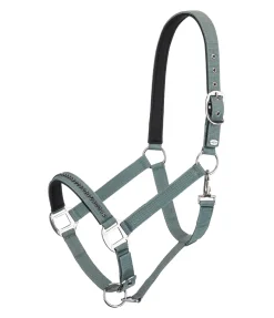 Hot Licol Twinkle Licols Synthétiques