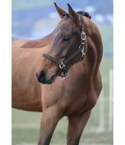 Outlet Licol Twinkle Licols Synthétiques