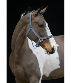 Discount Licol Twinkle Licols Synthétiques