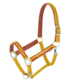 Best Licol Twotone Licols Synthétiques|Licols Pour Poneys & Poulains